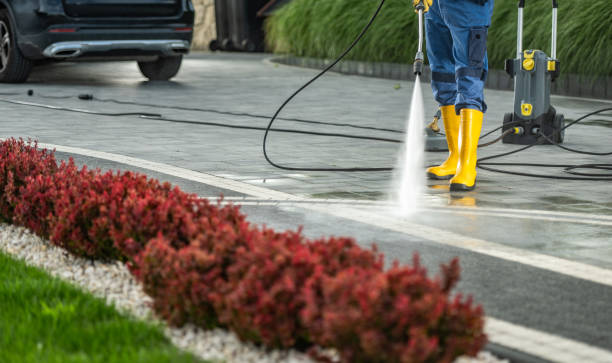 Best Pressure Washing Driveway  in USA